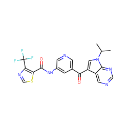 CC(C)n1cc(C(=O)c2cncc(NC(=O)c3scnc3C(F)(F)F)c2)c2cncnc21 ZINC000169707935