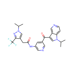 CC(C)n1cc(CC(=O)Nc2cncc(C(=O)c3cn(C(C)C)c4ccncc34)c2)c(C(F)(F)F)n1 ZINC001772649032