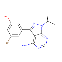 CC(C)n1nc(-c2cc(O)cc(Br)c2)c2c(N)ncnc21 ZINC000008581903