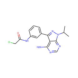 CC(C)n1nc(-c2cccc(NC(=O)CCl)c2)c2c(N)ncnc21 ZINC000148675435