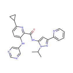 CC(C)n1nc(-c2ccccn2)cc1NC(=O)c1nc(C2CC2)ccc1Nc1cncnc1 ZINC000096167398