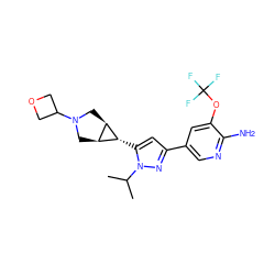 CC(C)n1nc(-c2cnc(N)c(OC(F)(F)F)c2)cc1[C@@H]1[C@H]2CN(C3COC3)C[C@H]21 ZINC000148103179