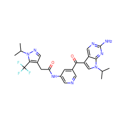 CC(C)n1ncc(CC(=O)Nc2cncc(C(=O)c3cn(C(C)C)c4nc(N)ncc34)c2)c1C(F)(F)F ZINC000169707811