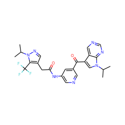 CC(C)n1ncc(CC(=O)Nc2cncc(C(=O)c3cn(C(C)C)c4ncncc34)c2)c1C(F)(F)F ZINC000169707678