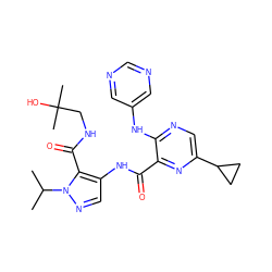 CC(C)n1ncc(NC(=O)c2nc(C3CC3)cnc2Nc2cncnc2)c1C(=O)NCC(C)(C)O ZINC000143068378