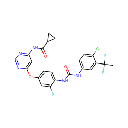 CC(F)(F)c1cc(NC(=O)Nc2ccc(Oc3cc(NC(=O)C4CC4)ncn3)cc2F)ccc1Cl ZINC001772620992