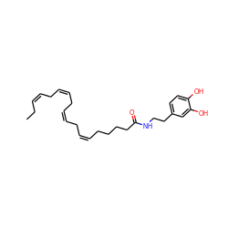 CC/C=C\C/C=C\C/C=C\C/C=C\CCCCC(=O)NCCc1ccc(O)c(O)c1 ZINC000027519213