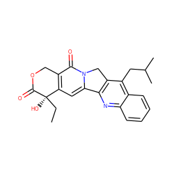 CC[C@@]1(O)C(=O)OCc2c1cc1n(c2=O)Cc2c-1nc1ccccc1c2CC(C)C ZINC000028388896