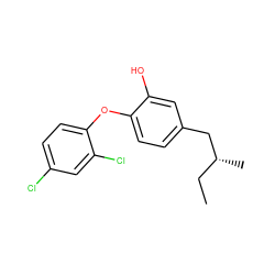 CC[C@@H](C)Cc1ccc(Oc2ccc(Cl)cc2Cl)c(O)c1 ZINC000029061404