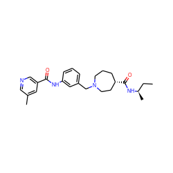 CC[C@@H](C)NC(=O)[C@H]1CCCN(Cc2cccc(NC(=O)c3cncc(C)c3)c2)CC1 ZINC001772633974