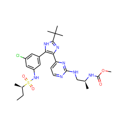 CC[C@@H](C)S(=O)(=O)Nc1cc(Cl)cc(-c2[nH]c(C(C)(C)C)nc2-c2ccnc(NC[C@H](C)NC(=O)OC)n2)c1 ZINC000169694639