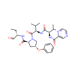 CC[C@@H](C=O)NC(=O)[C@@H]1C[C@@H](Oc2ccccc2)CN1C(=O)[C@H](NC(=O)[C@H](NC(=O)c1cnccn1)C(C)C)C(C)C ZINC000027328473