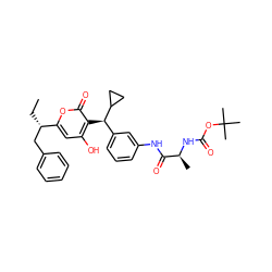 CC[C@@H](Cc1ccccc1)c1cc(O)c([C@H](c2cccc(NC(=O)[C@H](C)NC(=O)OC(C)(C)C)c2)C2CC2)c(=O)o1 ZINC000014943505