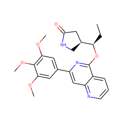 CC[C@@H](Oc1nc(-c2cc(OC)c(OC)c(OC)c2)cc2ncccc12)[C@H]1CNC(=O)C1 ZINC000141901258