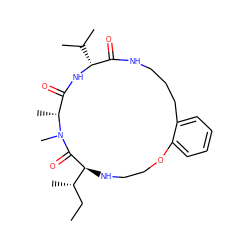 CC[C@H](C)[C@@H]1NCCOc2ccccc2CCCNC(=O)[C@@H](C(C)C)NC(=O)[C@@H](C)N(C)C1=O ZINC001772570360