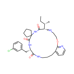 CC[C@H](C)[C@@H]1NCCOc2ncccc2CCCNC(=O)[C@H](Cc2cccc(Cl)c2)NC(=O)C2(CCCC2)NC1=O ZINC001772570003