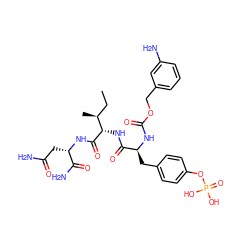 CC[C@H](C)[C@H](NC(=O)[C@H](Cc1ccc(OP(=O)(O)O)cc1)NC(=O)OCc1cccc(N)c1)C(=O)N[C@@H](CC(N)=O)C(N)=O ZINC000027108139