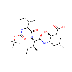CC[C@H](C)[C@H](NC(=O)OC(C)(C)C)C(=O)N[C@H](C(=O)N[C@@H](CC(C)C)[C@@H](O)CC(=O)O)[C@@H](C)CC ZINC000013861393