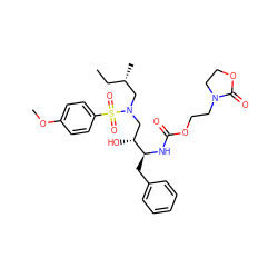 CC[C@H](C)CN(C[C@@H](O)[C@H](Cc1ccccc1)NC(=O)OCCN1CCOC1=O)S(=O)(=O)c1ccc(OC)cc1 ZINC000095554358