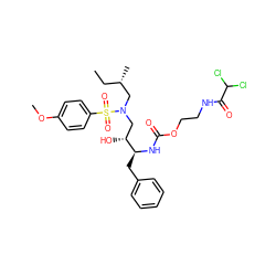 CC[C@H](C)CN(C[C@@H](O)[C@H](Cc1ccccc1)NC(=O)OCCNC(=O)C(Cl)Cl)S(=O)(=O)c1ccc(OC)cc1 ZINC000095553258