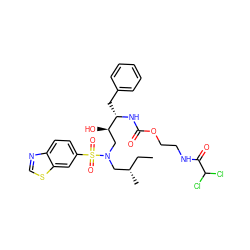 CC[C@H](C)CN(C[C@@H](O)[C@H](Cc1ccccc1)NC(=O)OCCNC(=O)C(Cl)Cl)S(=O)(=O)c1ccc2ncsc2c1 ZINC000095552114