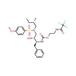 CC[C@H](C)CN(C[C@@H](O)[C@H](Cc1ccccc1)NC(=O)OCCNC(=O)C(F)(F)F)S(=O)(=O)c1ccc(OC)cc1 ZINC000095552944