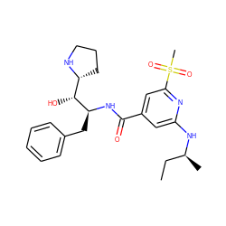 CC[C@H](C)Nc1cc(C(=O)N[C@@H](Cc2ccccc2)[C@H](O)[C@H]2CCCN2)cc(S(C)(=O)=O)n1 ZINC001772576945