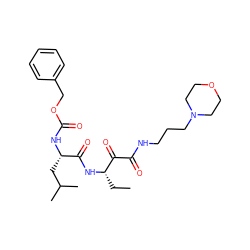 CC[C@H](NC(=O)[C@H](CC(C)C)NC(=O)OCc1ccccc1)C(=O)C(=O)NCCCN1CCOCC1 ZINC000013759572