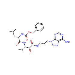 CC[C@H](NC(=O)[C@H](CC(C)C)NC(=O)OCc1ccccc1)C(=O)C(=O)NCCCn1cnc2c(N)ncnc21 ZINC000042887546