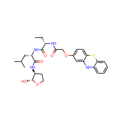 CC[C@H](NC(=O)COc1ccc2c(c1)Nc1ccccc1S2)C(=O)N[C@@H](CC(C)C)C(=O)N[C@H]1CCO[C@@H]1O ZINC000028571198