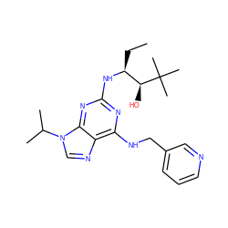 CC[C@H](Nc1nc(NCc2cccnc2)c2ncn(C(C)C)c2n1)[C@H](O)C(C)(C)C ZINC000003939652