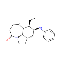 CC[C@H]1[C@@H](Nc2ccccc2)C[C@@H]2CCN3C(=O)CCC[C@H]1[C@H]23 ZINC000015935320