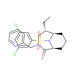 CC[C@H]1CN(Cc2ccccn2)C(=O)[C@@H]2CCC[C@H]1N2S(=O)(=O)c1cc(Cl)cc(Cl)c1 ZINC001772637193