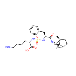 CC1(C)[C@@H]2CC[C@@]1(C)[C@@H](NC(=O)[C@H](Cc1ccccc1)NS(=O)(=O)N[C@@H](CCCCN)C(=O)O)C2 ZINC000168295847