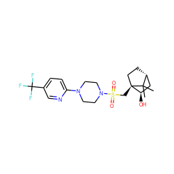 CC1(C)[C@@H]2CC[C@@]1(CS(=O)(=O)N1CCN(c3ccc(C(F)(F)F)cn3)CC1)[C@H](O)C2 ZINC000040864052