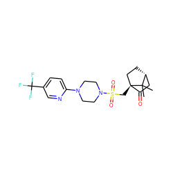 CC1(C)[C@@H]2CC[C@@]1(CS(=O)(=O)N1CCN(c3ccc(C(F)(F)F)cn3)CC1)C(=O)C2 ZINC000016739998