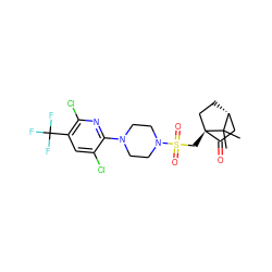 CC1(C)[C@@H]2CC[C@@]1(CS(=O)(=O)N1CCN(c3nc(Cl)c(C(F)(F)F)cc3Cl)CC1)C(=O)C2 ZINC000040934550