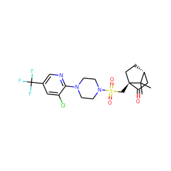 CC1(C)[C@@H]2CC[C@@]1(CS(=O)(=O)N1CCN(c3ncc(C(F)(F)F)cc3Cl)CC1)C(=O)C2 ZINC000033541829