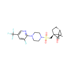 CC1(C)[C@@H]2CC[C@@]1(CS(=O)(=O)N1CCN(c3ncc(C(F)(F)F)cc3F)CC1)C(=O)C2 ZINC000040919167