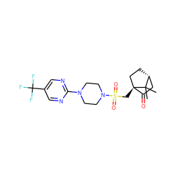 CC1(C)[C@@H]2CC[C@@]1(CS(=O)(=O)N1CCN(c3ncc(C(F)(F)F)cn3)CC1)C(=O)C2 ZINC000040935636