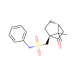 CC1(C)[C@@H]2CC[C@@]1(CS(=O)(=O)Nc1ccccc1)C(=O)C2 ZINC000001465759