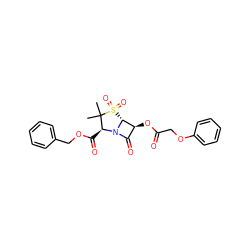 CC1(C)[C@H](C(=O)OCc2ccccc2)N2C(=O)[C@H](OC(=O)COc3ccccc3)[C@H]2S1(=O)=O ZINC000026385411