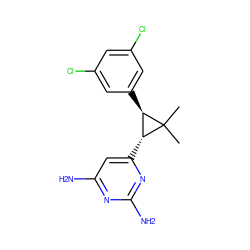 CC1(C)[C@H](c2cc(Cl)cc(Cl)c2)[C@H]1c1cc(N)nc(N)n1 ZINC000013588451