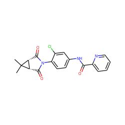 CC1(C)[C@H]2C(=O)N(c3ccc(NC(=O)c4ccccn4)cc3Cl)C(=O)[C@H]21 ZINC000066139884