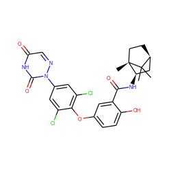 CC1(C)[C@H]2CC[C@@]1(C)[C@H](NC(=O)c1cc(Oc3c(Cl)cc(-n4ncc(=O)[nH]c4=O)cc3Cl)ccc1O)C2 ZINC000101100039