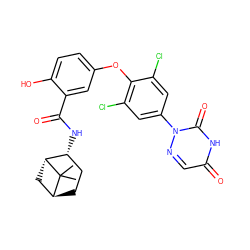 CC1(C)[C@H]2CC[C@@H](NC(=O)c3cc(Oc4c(Cl)cc(-n5ncc(=O)[nH]c5=O)cc4Cl)ccc3O)[C@H]1C2 ZINC000116745135