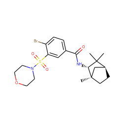 CC1(C)[C@H]2CC[C@](C)(C2)[C@@H]1NC(=O)c1ccc(Br)c(S(=O)(=O)N2CCOCC2)c1 ZINC000029045830