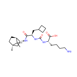 CC1(C)[C@H]2CC[C@]1(C)C[C@H]2NC(=O)[C@@H](CC1CCC1)NC(=O)N[C@@H](CCCCN)C(=O)O ZINC000473113330