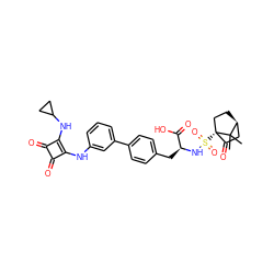 CC1(C)[C@H]2CC[C@]1(S(=O)(=O)N[C@@H](Cc1ccc(-c3cccc(Nc4c(NC5CC5)c(=O)c4=O)c3)cc1)C(=O)O)C(=O)C2 ZINC000101120478