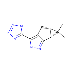 CC1(C)[C@H]2Cc3c(n[nH]c3-c3nnn[nH]3)[C@H]21 ZINC000034632933